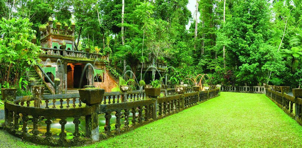 Mena Creek Flower House المظهر الخارجي الصورة
